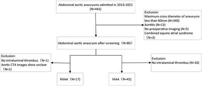 High-density thrombus and maximum transverse diameter on multi-spiral computed tomography angiography combine to predict abdominal aortic aneurysm rupture